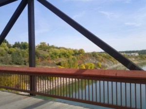 North Saskatchewan River Valley from Cloverdale Pedestrian Bridge