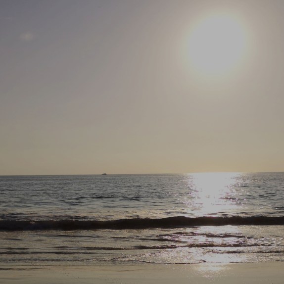 InShot_20191119_120831440