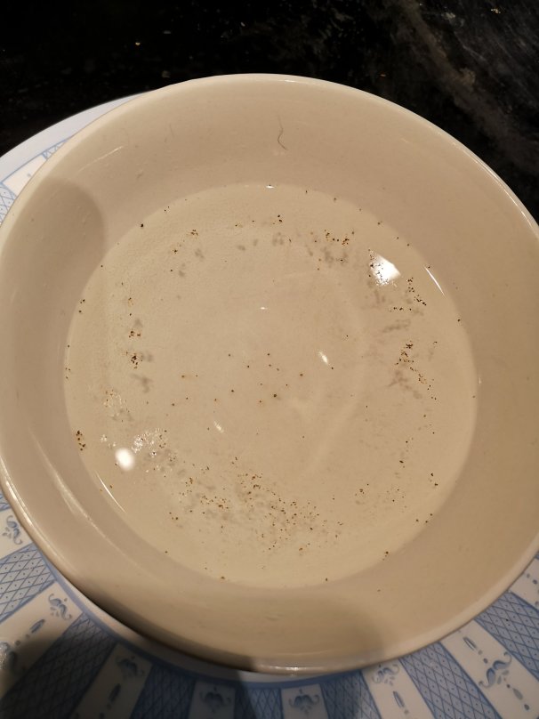 Flecks of black pepper floating in water. The pepper forms a ring around the outer edge of the bowl.