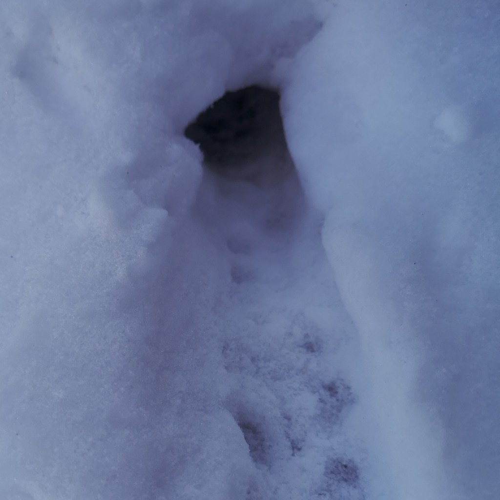 Small hole on the edge of the snow