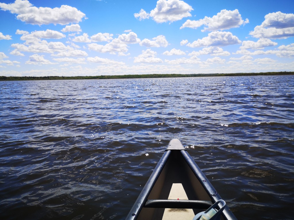 The bow of a canoe on water. Trees are visible in the distance. Sky is blue with white clouds.