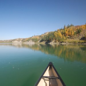 Trees on the riverbank changing colour during fall