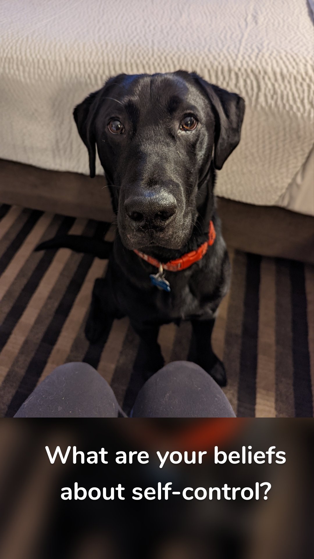 What are your beliefs about self-control?