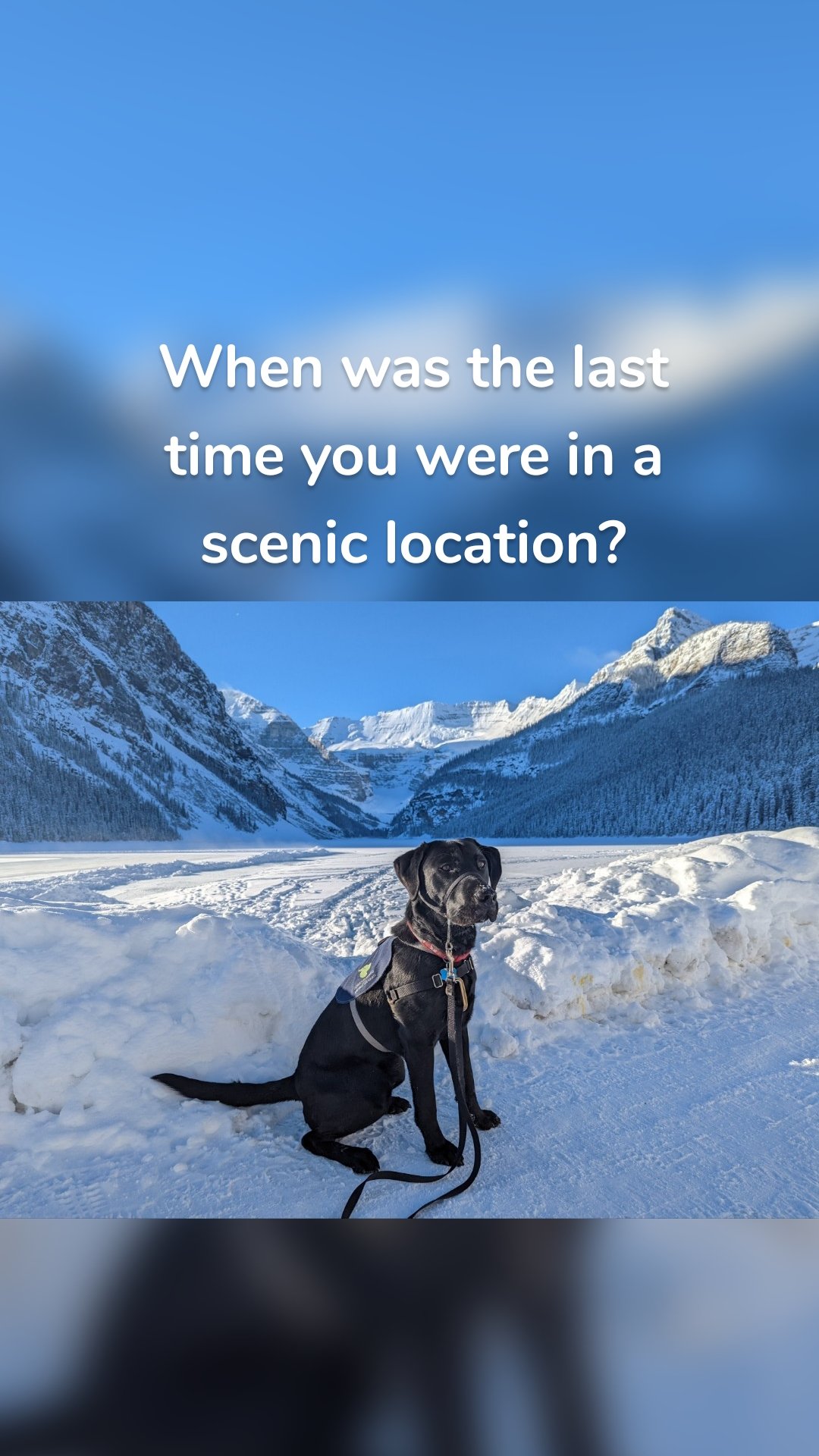 When was the last time you were in a scenic location?